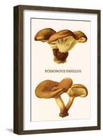 Poisonous Paxillus-Edmund Michael-Framed Art Print