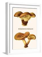 Poisonous Paxillus-Edmund Michael-Framed Art Print