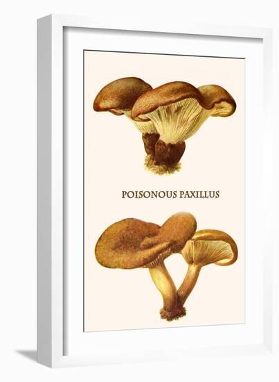 Poisonous Paxillus-Edmund Michael-Framed Art Print