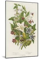 Poisonous Plants, C1885-null-Mounted Giclee Print