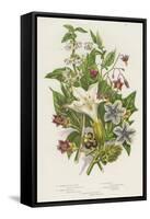 Poisonous Plants, C1885-null-Framed Stretched Canvas