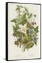 Poisonous Plants, C1885-null-Framed Stretched Canvas