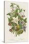 Poisonous Plants, C1885-null-Stretched Canvas