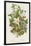 Poisonous Plants, C1885-null-Framed Giclee Print