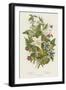 Poisonous Plants, C1885-null-Framed Premium Giclee Print