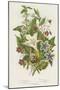 Poisonous Plants, C1885-null-Mounted Premium Giclee Print