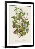 Poisonous Plants, C1885-null-Framed Giclee Print