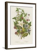 Poisonous Plants, C1885-null-Framed Giclee Print