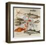 Poissons Etoile De Mer-Lizie-Framed Art Print