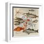 Poissons Etoile De Mer-Lizie-Framed Art Print