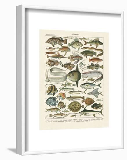 Poissons I-Adolphe Millot-Framed Art Print