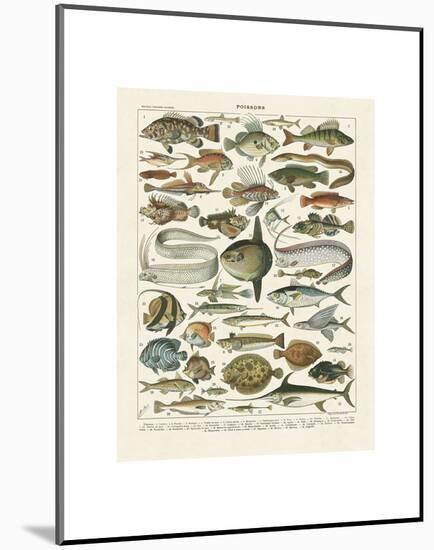 Poissons I-Adolphe Millot-Mounted Art Print