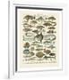 Poissons I-Adolphe Millot-Framed Art Print