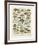 Poissons I-Adolphe Millot-Framed Art Print