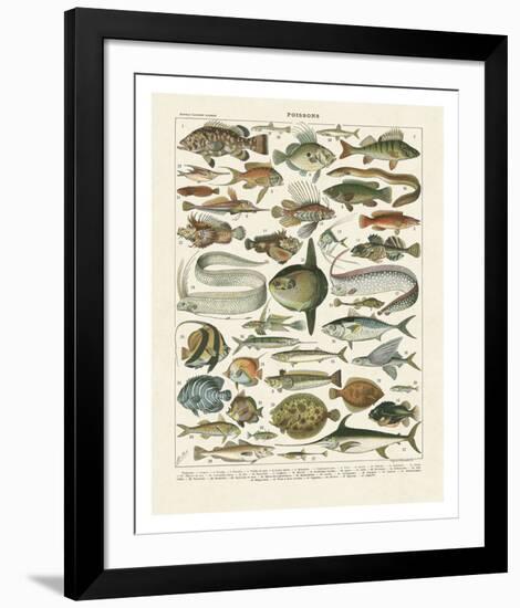 Poissons I-Adolphe Millot-Framed Art Print