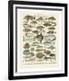 Poissons I-Adolphe Millot-Framed Art Print