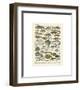 Poissons I-Adolphe Millot-Framed Giclee Print