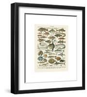 Poissons I-Adolphe Millot-Framed Giclee Print