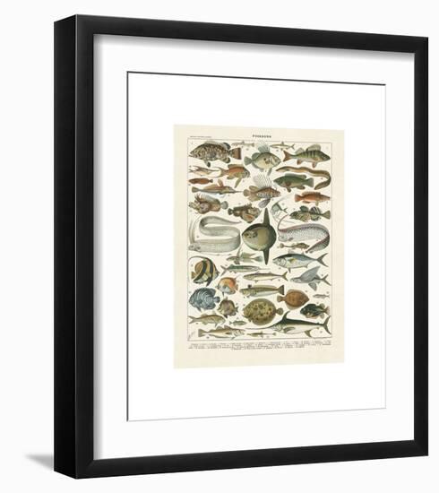 Poissons I-Adolphe Millot-Framed Giclee Print