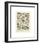 Poissons I-Adolphe Millot-Framed Giclee Print