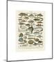 Poissons I-Adolphe Millot-Mounted Giclee Print