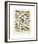 Poissons I-Adolphe Millot-Framed Giclee Print