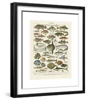 Poissons I-Adolphe Millot-Framed Giclee Print