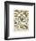 Poissons I-Adolphe Millot-Framed Giclee Print