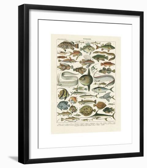 Poissons I-Adolphe Millot-Framed Giclee Print