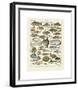 Poissons I-Adolphe Millot-Framed Giclee Print