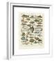 Poissons I-Adolphe Millot-Framed Giclee Print