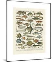 Poissons I-Adolphe Millot-Mounted Giclee Print