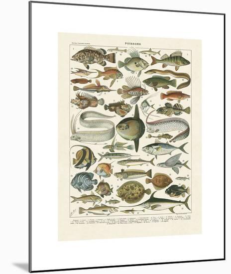 Poissons I-Adolphe Millot-Mounted Giclee Print