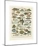 Poissons I-Adolphe Millot-Mounted Giclee Print