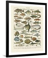 Poissons I-Adolphe Millot-Framed Giclee Print