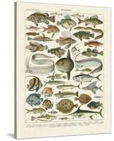 Poissons I-Adolphe Millot-Stretched Canvas