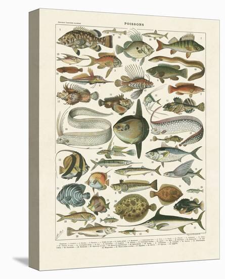 Poissons I-Adolphe Millot-Stretched Canvas