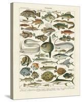 Poissons I-Adolphe Millot-Stretched Canvas