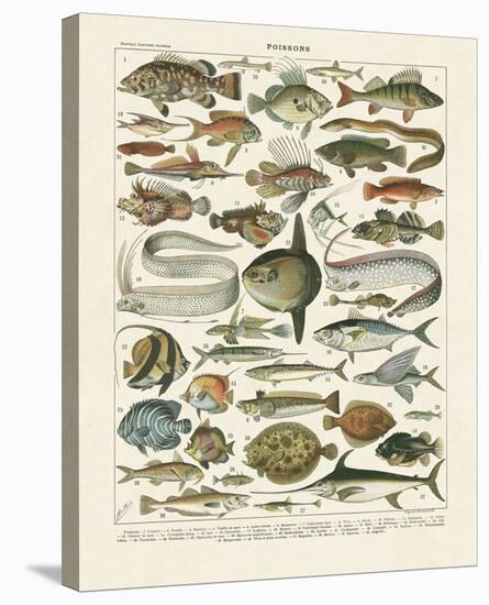 Poissons I-Adolphe Millot-Stretched Canvas