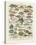 Poissons I-Adolphe Millot-Stretched Canvas