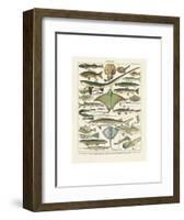 Poissons II-Adolphe Millot-Framed Art Print