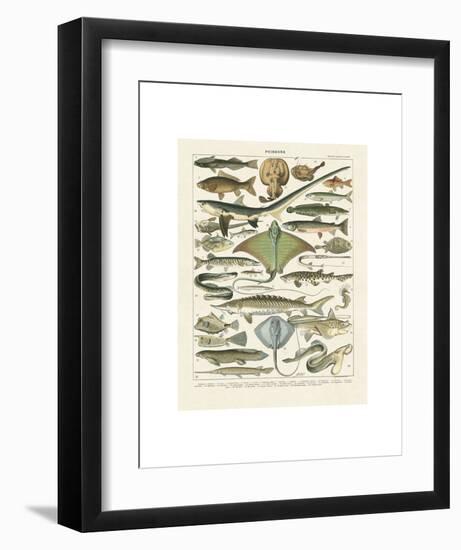 Poissons II-Adolphe Millot-Framed Art Print