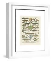 Poissons II-Adolphe Millot-Framed Art Print