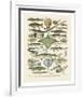 Poissons II-Adolphe Millot-Framed Art Print