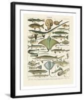 Poissons II-Adolphe Millot-Framed Art Print