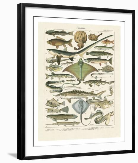 Poissons II-Adolphe Millot-Framed Art Print