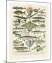 Poissons II-Adolphe Millot-Mounted Art Print