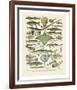 Poissons II-Adolphe Millot-Framed Art Print