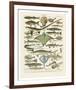 Poissons II-Adolphe Millot-Framed Art Print