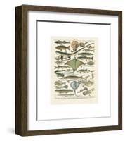 Poissons II-Adolphe Millot-Framed Giclee Print